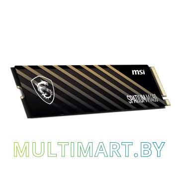 SSD диск MSI Spatium M460 1TB (S78-440L930-P83)